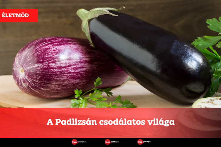 A Padlizsán csodálatos világa