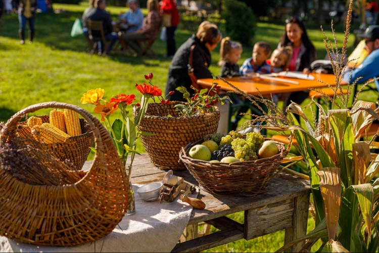 A túlélésért harcolnak a csallóközi őstermelők