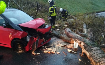 Az erős szél miatt 26 riasztást kaptak országosan a tűzoltók