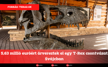 5,63 millió euróért árvereztek el egy T-Rex csontvázat Svájcban