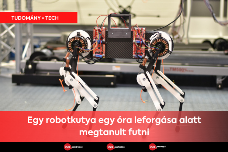 A robotkutya egy óra leforgása alatt megtanult futni