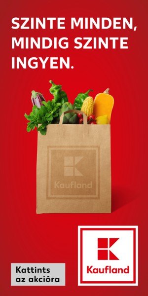 Kaufland banner 300x600 24-11